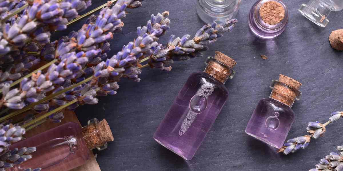 Aceite de Lavanda para perros
