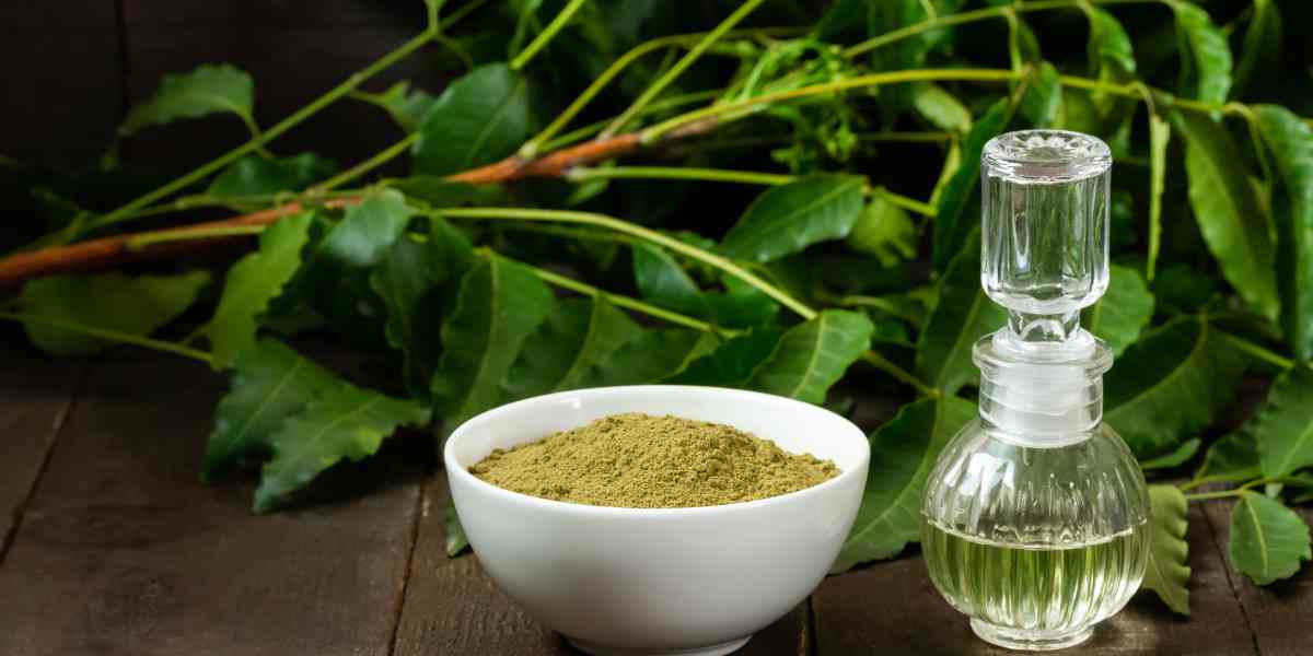 Aceite de Neem para Perros | Contra Pulgas y Garrapatas