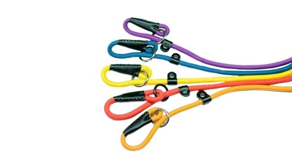 Adiestramiento con correa para perros