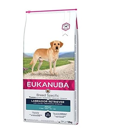 ¿Pienso o comida húmeda para tu labrador? Diferencias y cuál elegir