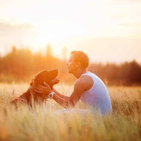 Alternativas a la esterilización