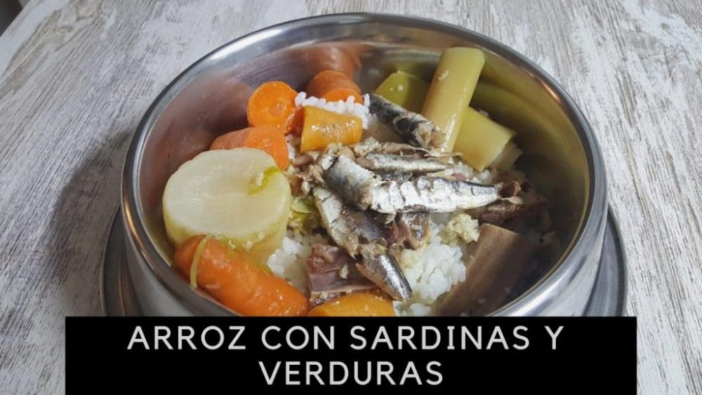 Arroz con Sardinas y Verduras