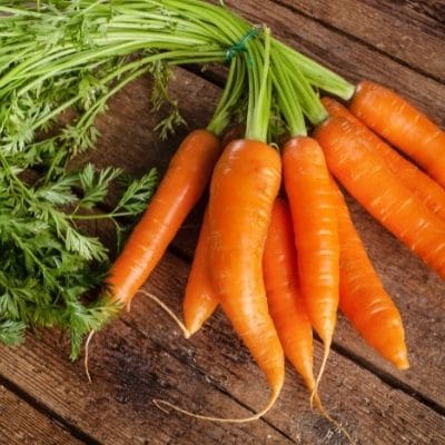 Beneficios zanahoria para perros