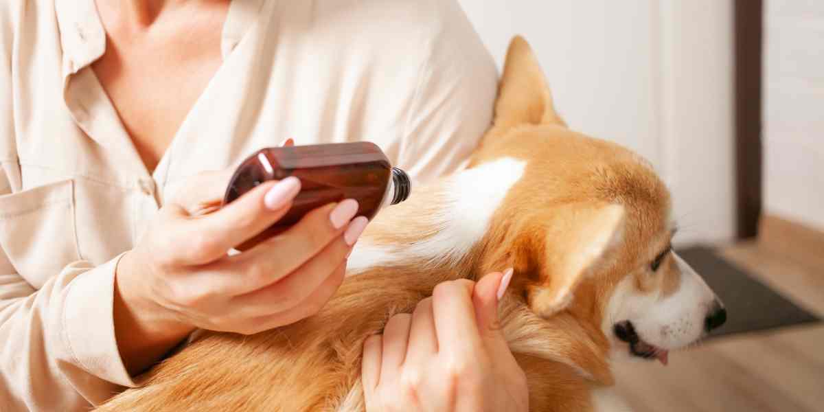 Collar Antipulgas Natural