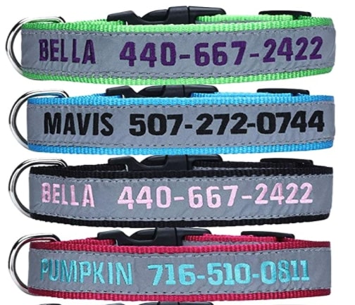 Collar de Perro Reflectante Personalizado