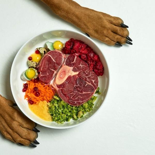 Personaliza las comidas de tu perro con ingredientes caseros