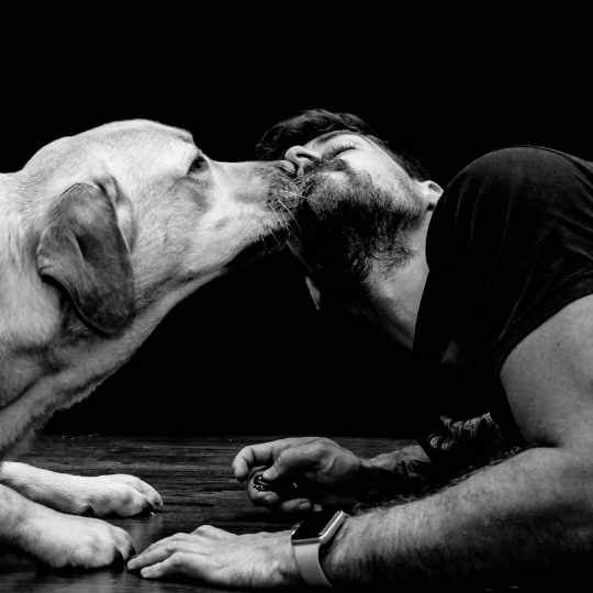 Cómo convertirse en cuidador de perros