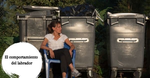 Evitar que nuestro labrador abra el cubo de la basura