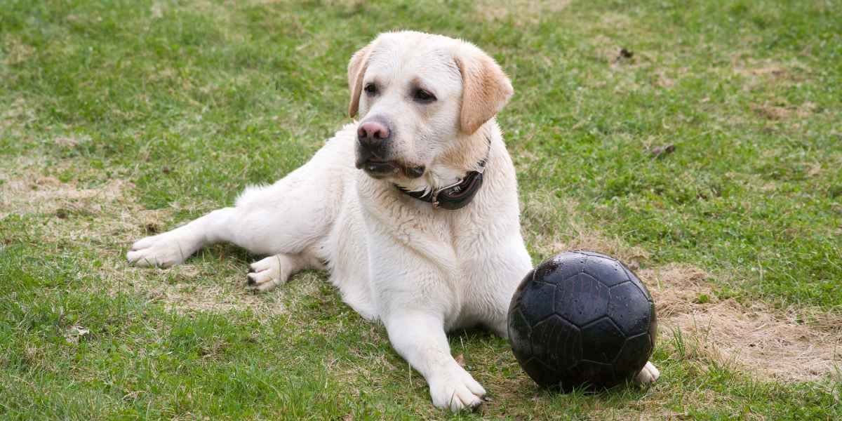 Juegos de equilibrio