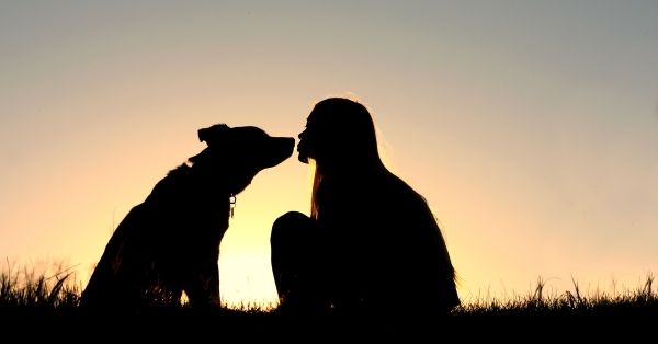 Lamer equivalente besar