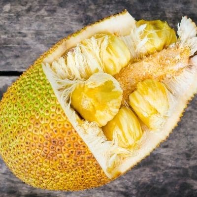 ¿Los perros pueden comer Yaca?