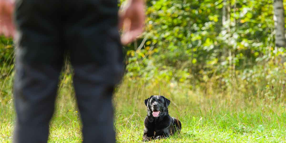 Método de enseñanza en tres fases