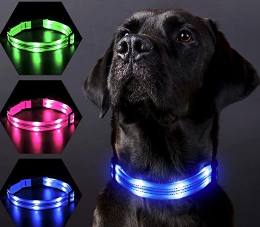 PZRLit Collar Luminoso