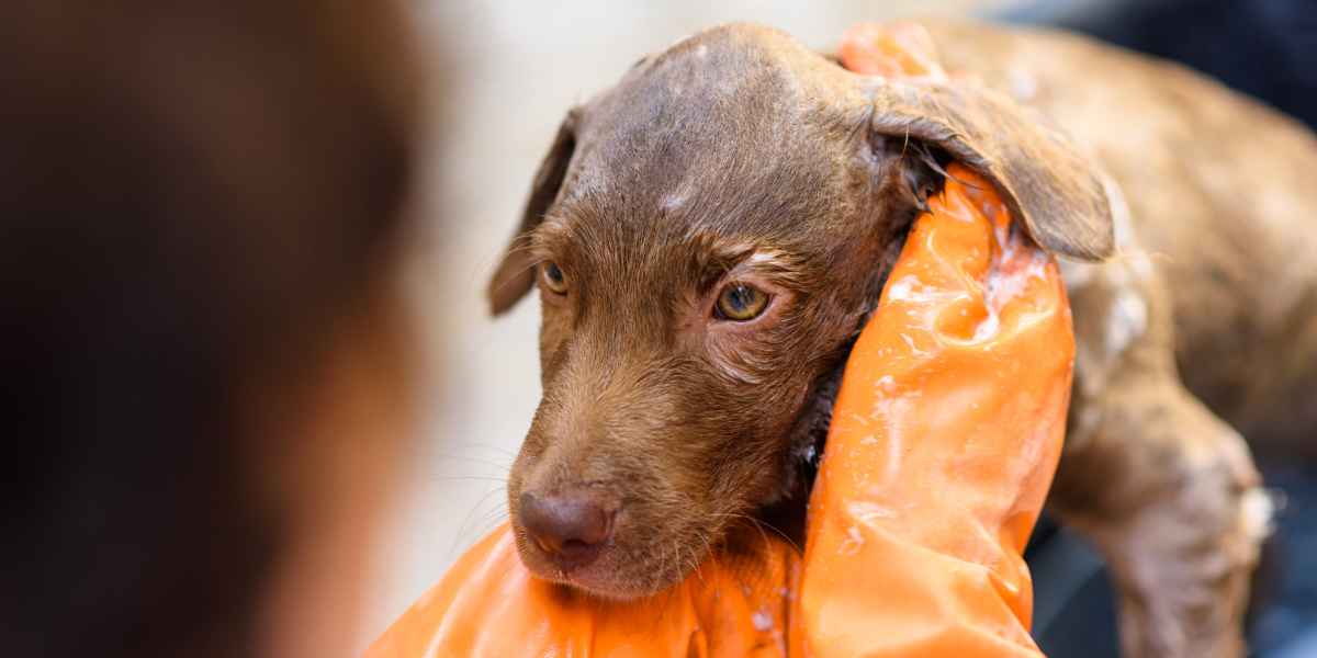 Peligros en el baño