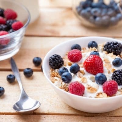 Probióticos naturales para perro