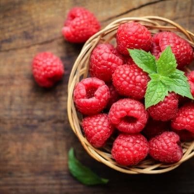 ¿Los perros pueden comer frambuesas?
