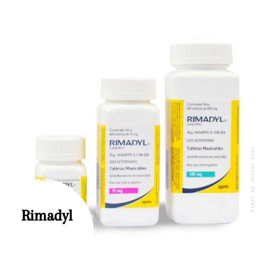 Rimadyl para perros: ¿Qué uso tiene y cómo funciona?