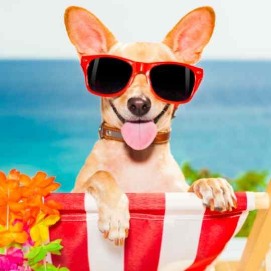 Tres etapas para el éxito