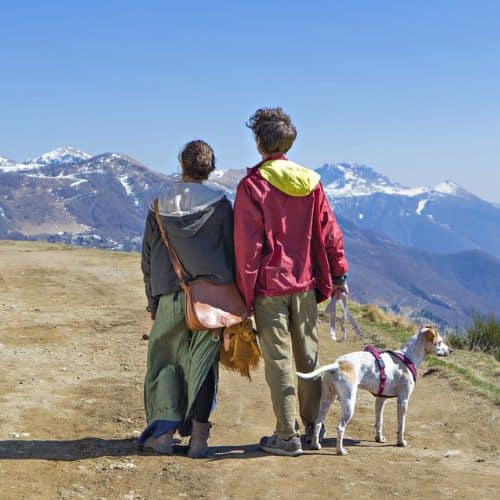 Viajar con tu mascota: Todo lo que necesitas saber para hacerlo de forma segura y cómoda