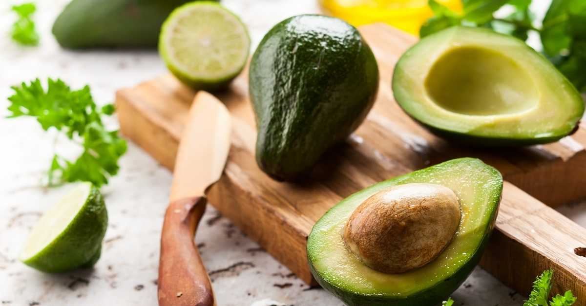 pueden los perros comer aguacate
