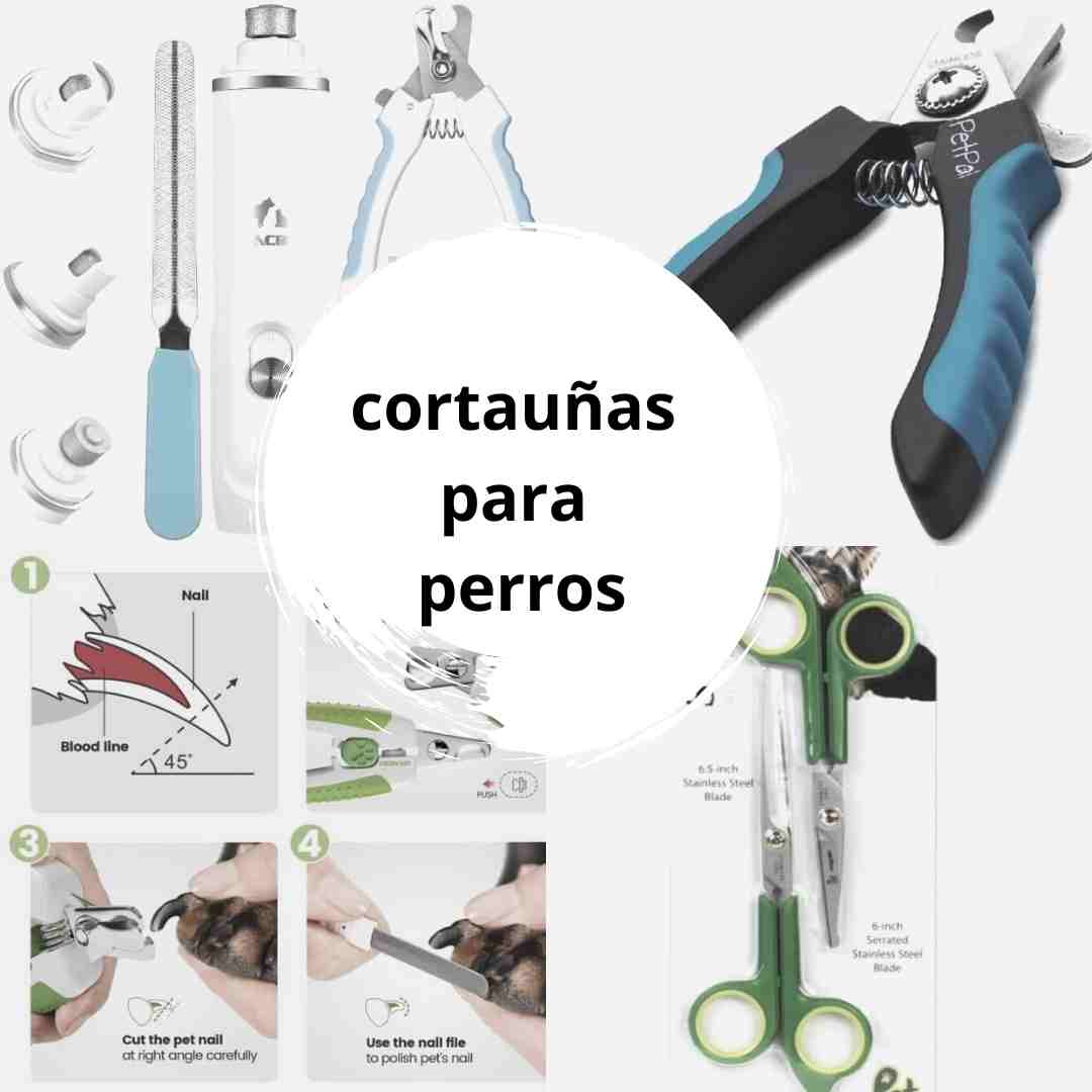 cortauñas para perro