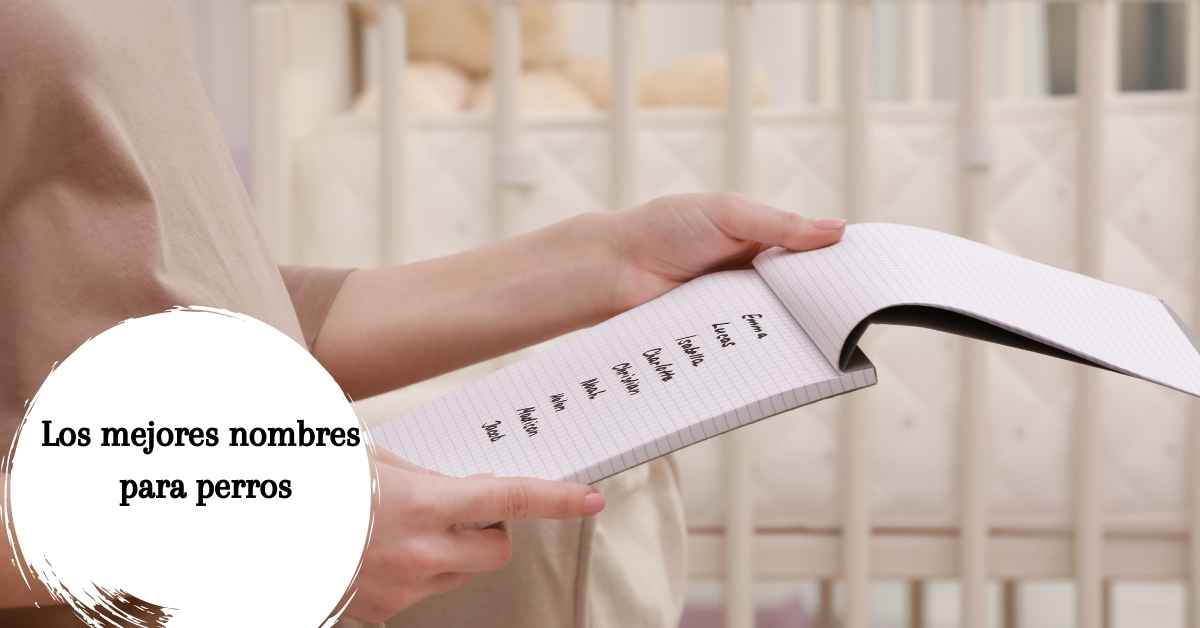 Nombres para perros - Los mejores nombres para perros