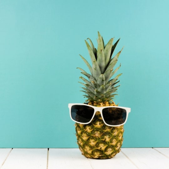 Los perros pueden comer piña