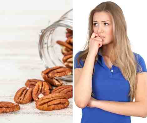 puede comer pecana un perro